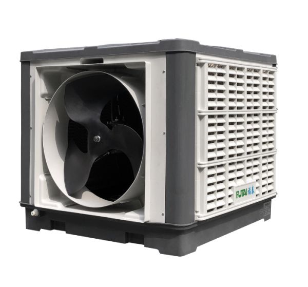 ���L�C�S��