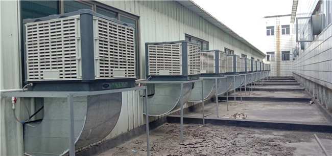 ���ݏS������