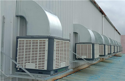 �FƤ�S�����ؽ�Q��������֪������